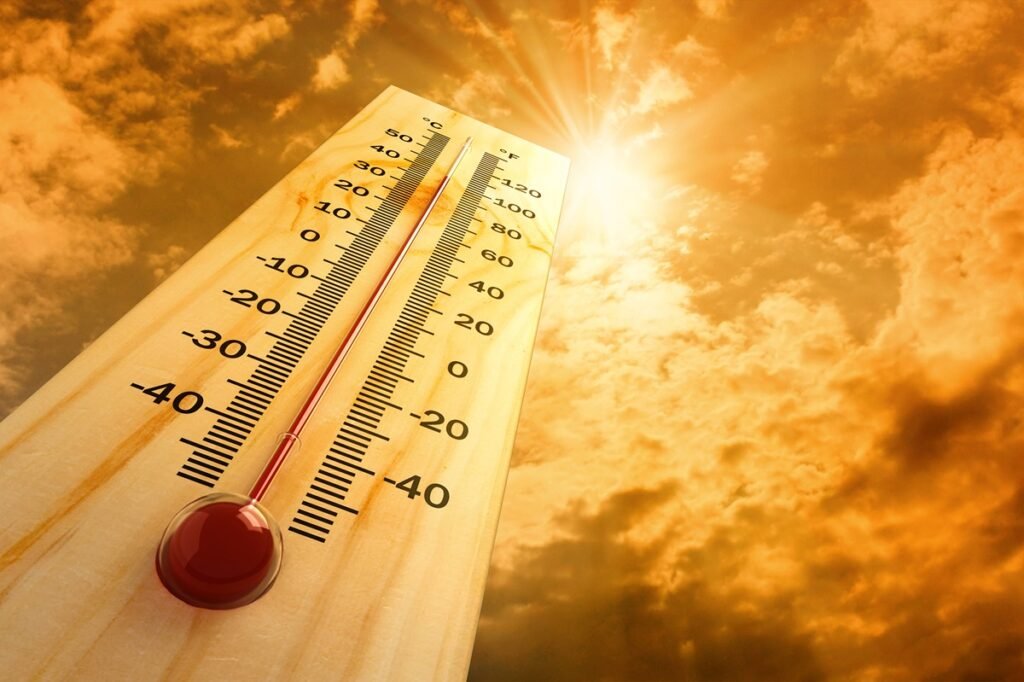 thermometer temp